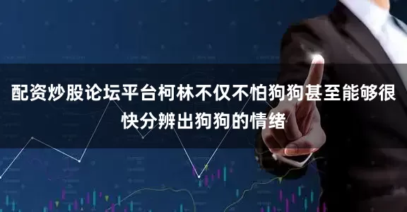 配资炒股论坛平台柯林不仅不怕狗狗甚至能够很快分辨出狗狗的情绪