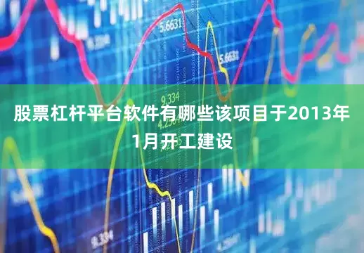 股票杠杆平台软件有哪些该项目于2013年1月开工建设